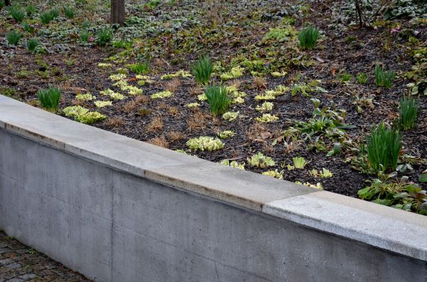 Concrete Wall Construction in Glen Burnie